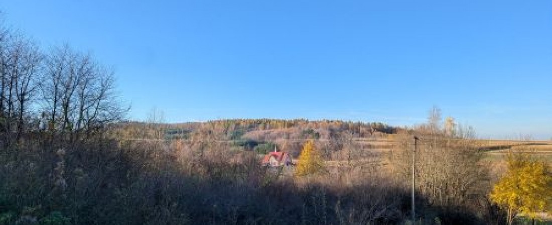 Zajęcia WF w klasach 6,7,8 poza szkołą!