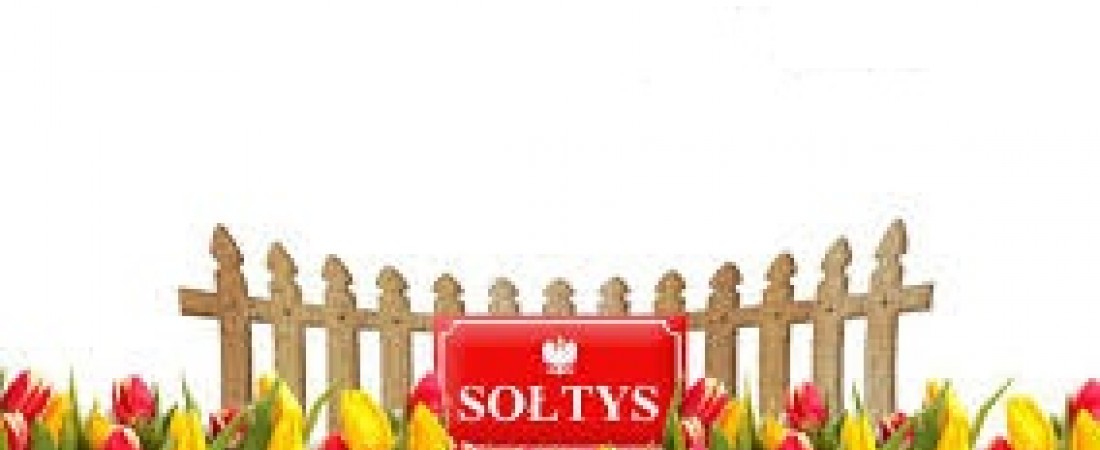 Spotkanie z Sołtysem sołectwa Rokietnica Wola