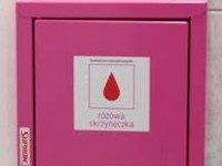 RÓŻOWE SKRZYNECZKI